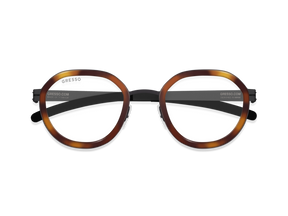 TAYLOR / TITANIUM